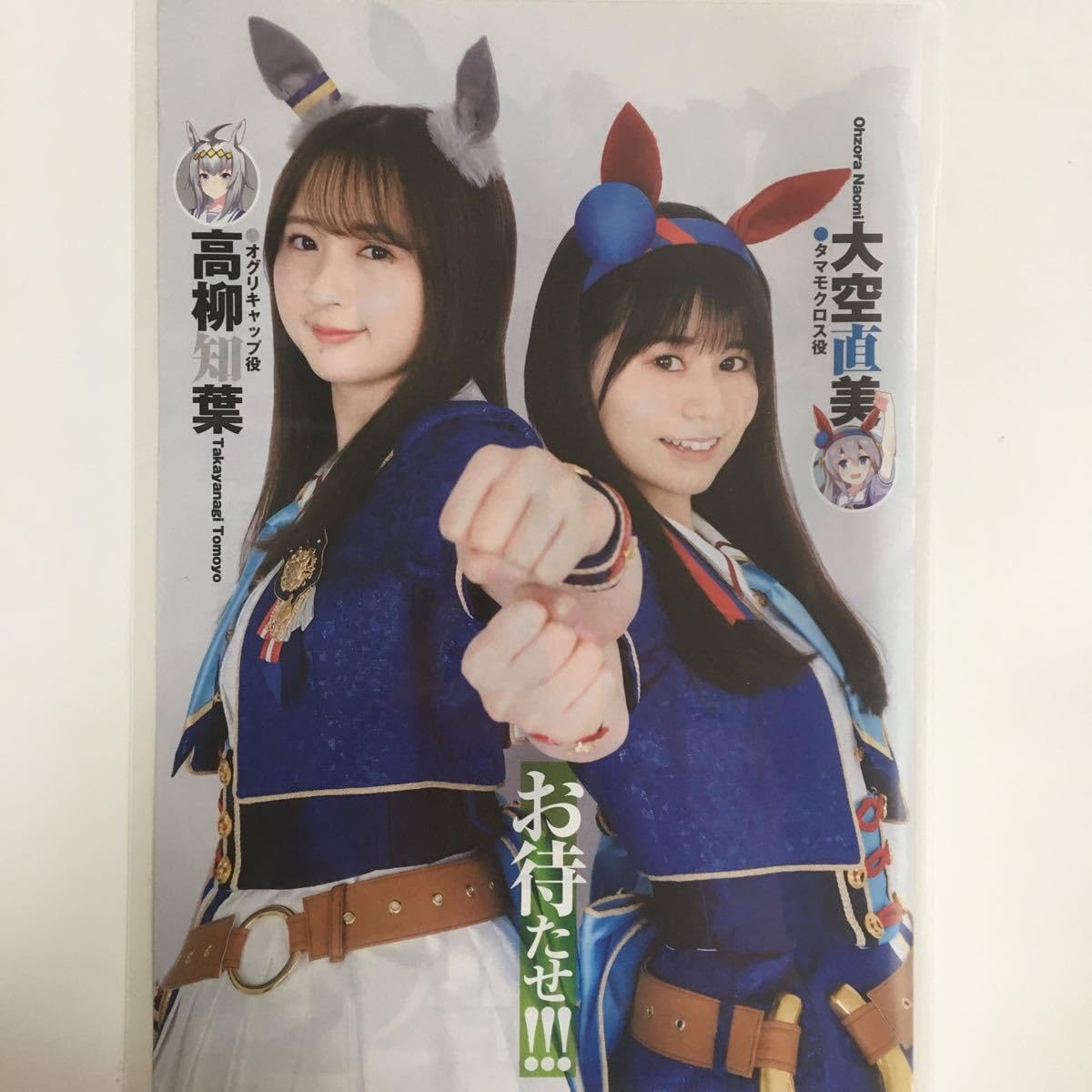 Amazon.co.jp: Gravure Magazine Laminated Y-1694 Takayani